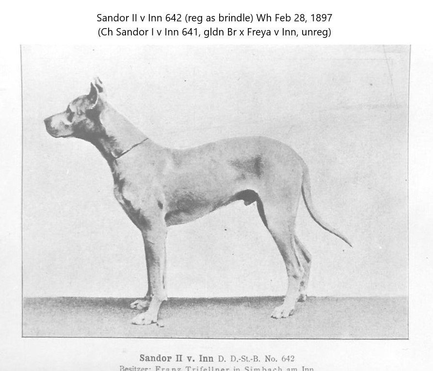 Sandor II v Inn